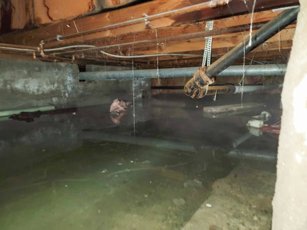 Best Commercial water damage restoration  in Fort Benton, MT