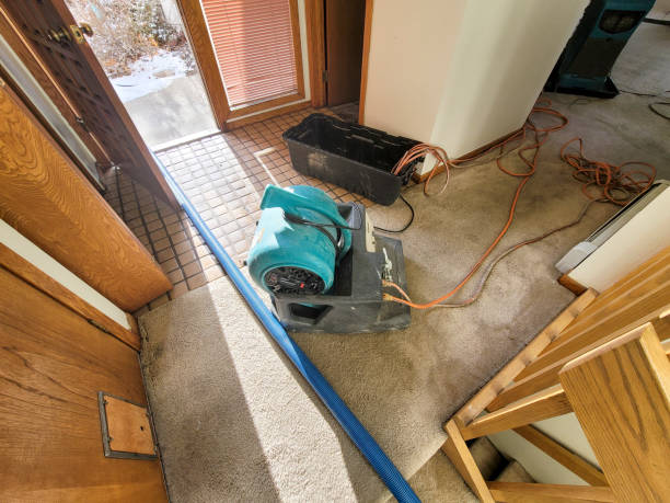 Best Basement water damage restoration  in Fort Benton, MT