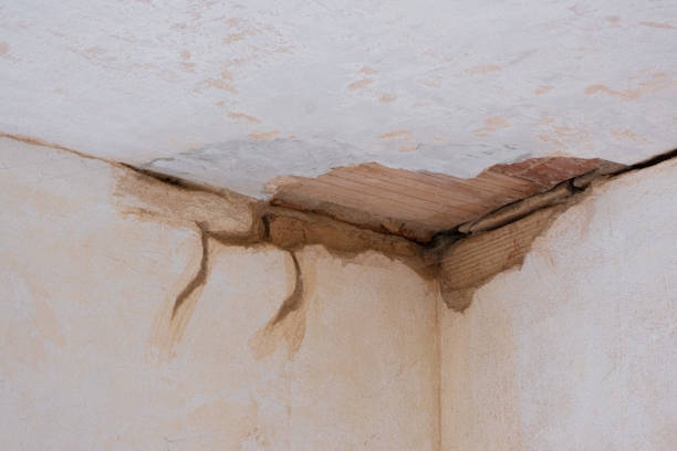 Best Residential water damage restoration  in Fort Benton, MT
