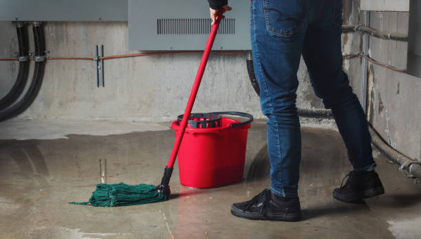 Trusted Fort Benton, MT Water damage restoration Experts