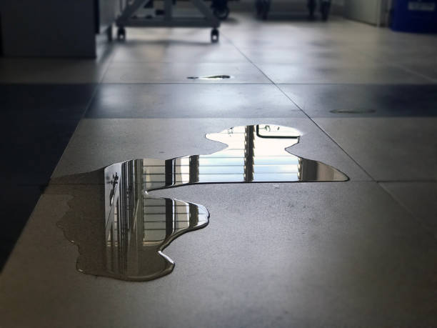 Best Water damage restoration process  in Fort Benton, MT