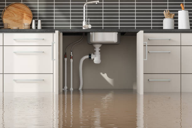 Best Ceiling water damage repair  in Fort Benton, MT
