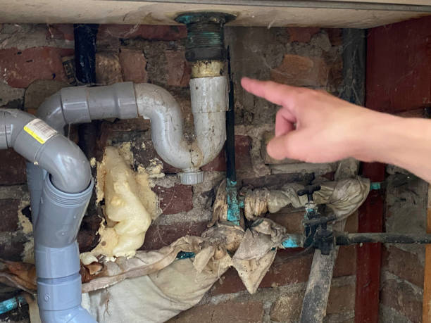 Best Flooded house restoration  in Fort Benton, MT