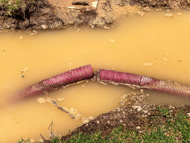 Best Professional water damage repair  in Fort Benton, MT