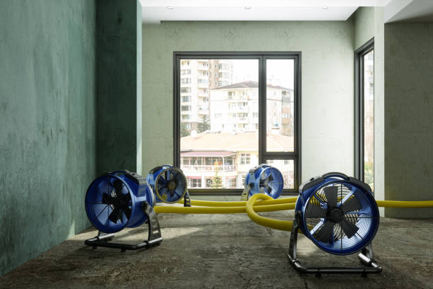 Best Commercial water damage restoration  in Fort Benton, MT