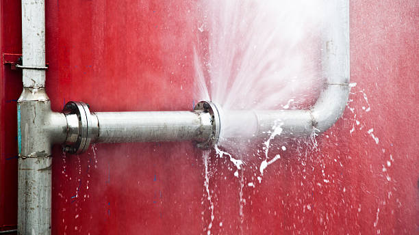 Best Flood restoration services  in Fort Benton, MT